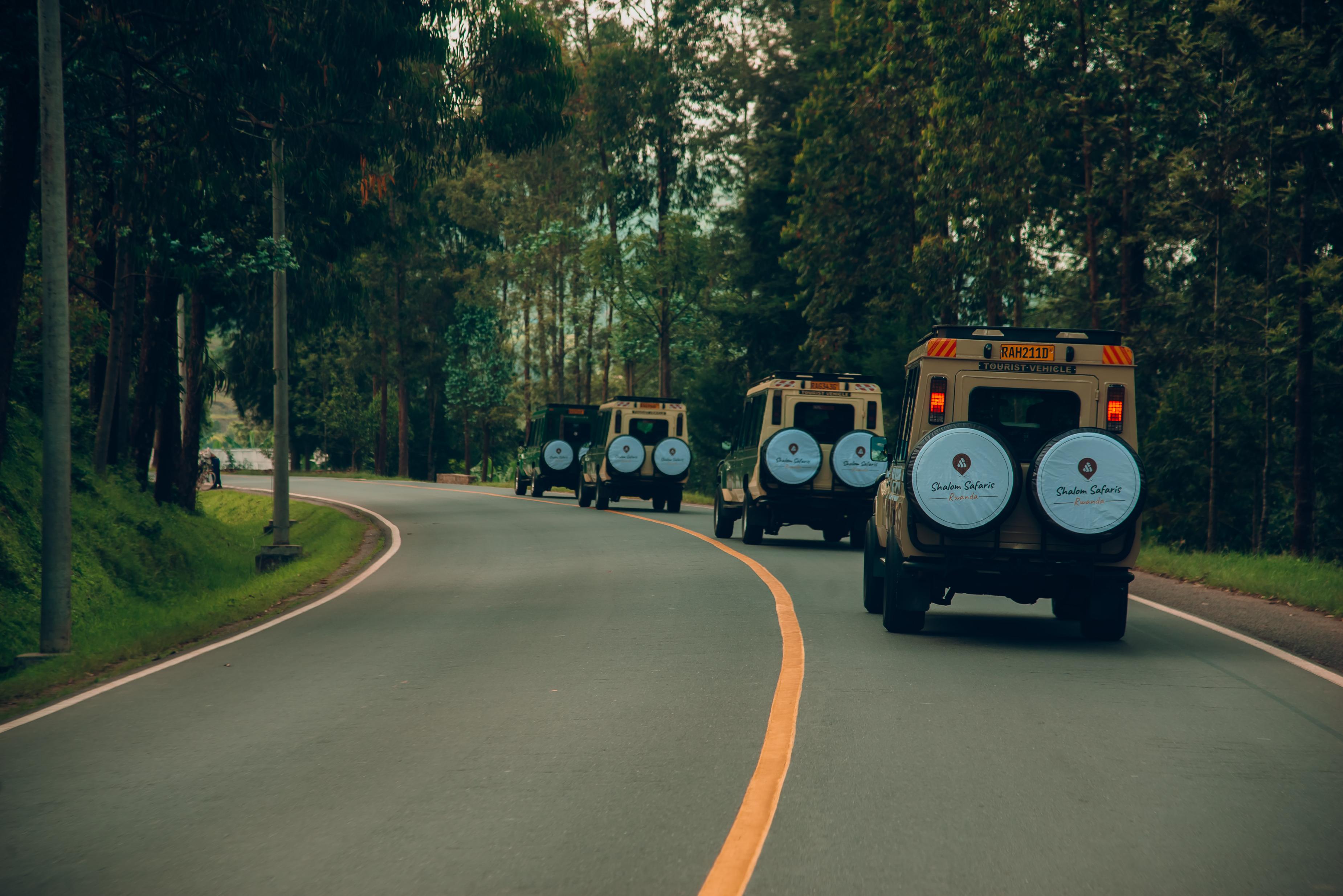 Rwanda & Uganda Group Tour including Gorilla trekking in Bwindi.
